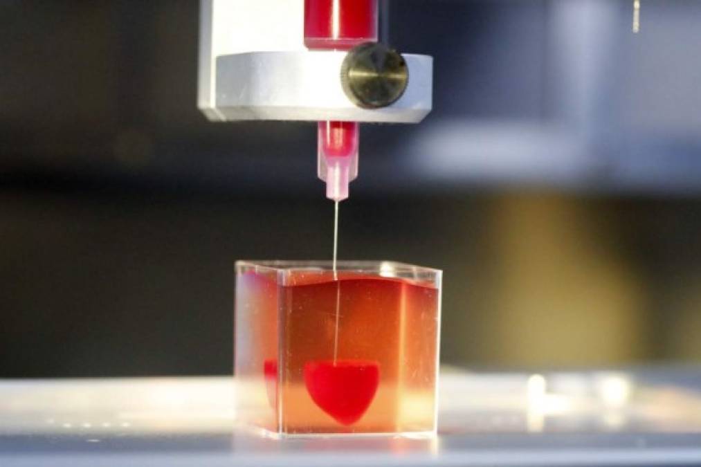 Científicos israelíes presentan corazón impreso en 3D a partir de tejidos humanos