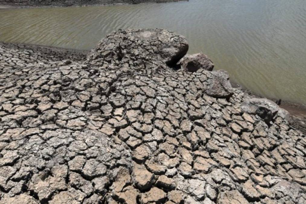 Honduras vive emergencia por sequía