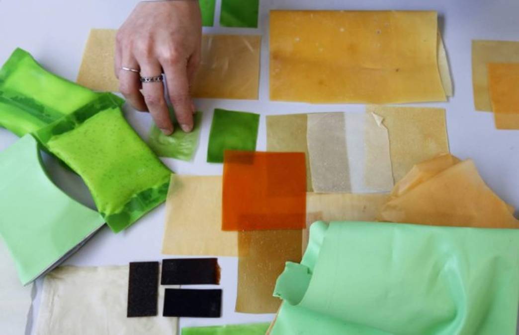El cactus, cuya abundancia y múltiples usos tradicionales lo han consagrado como un emblema nacional de México, suma una nueva aportación al mundo: ser la materia prima de un plástico biodegradable.