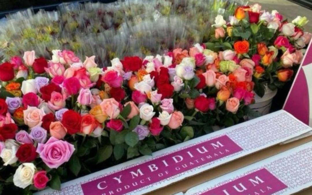 Guatemaltecos reparten flores para llevar alegría en medio de crisis