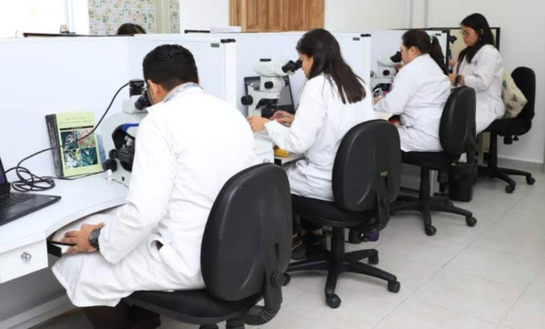 Honduras: OPC inauguró Laboratorio de Diagnóstico Fitosanitario en Puerto Cortés