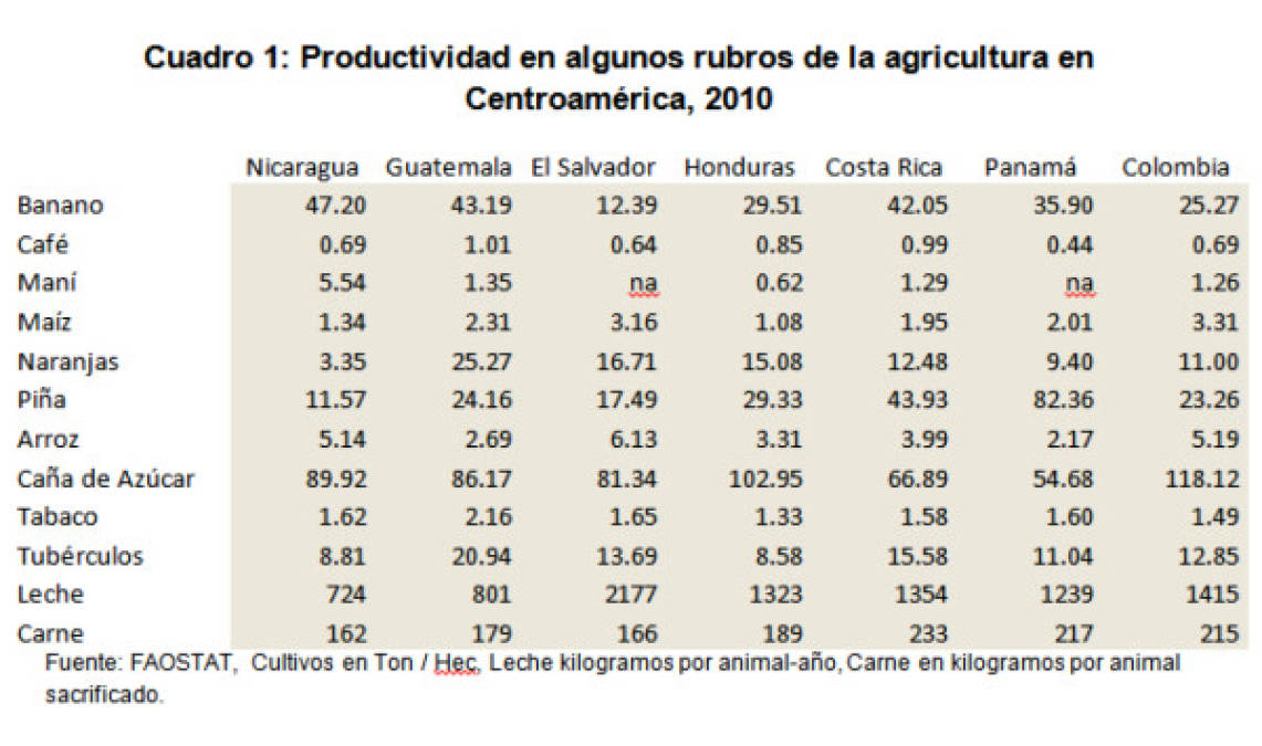 Estrategia de competitividad para la agricultura en Nicaragua