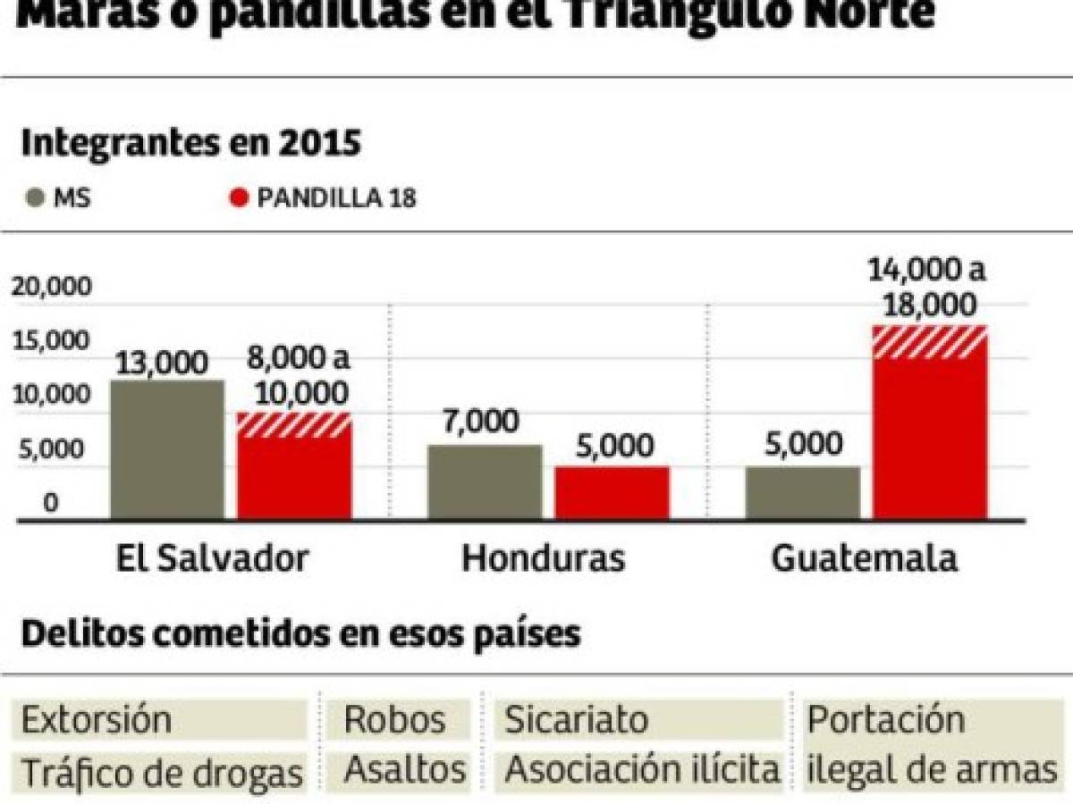 Foto: Estrategia y Negocios Foto: Estrategia y Negocios