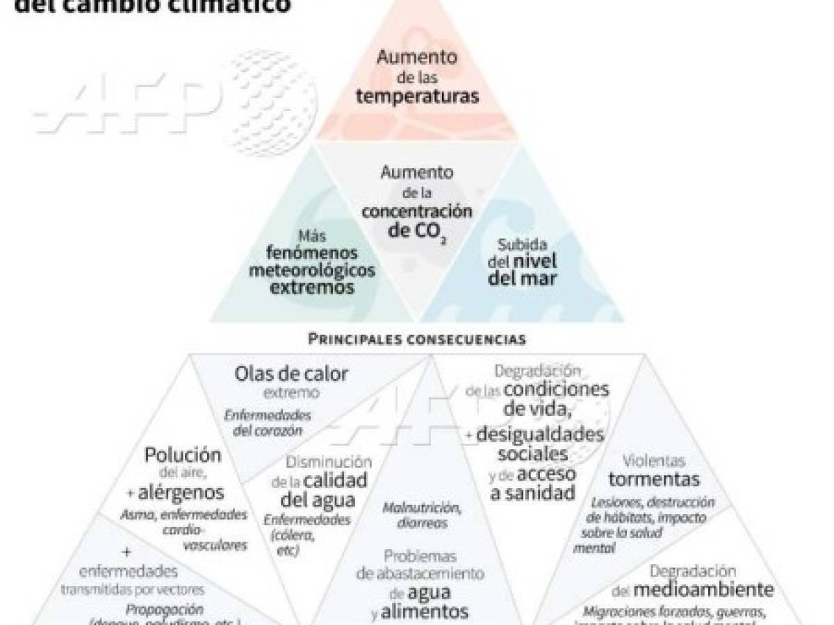 Foto: Estrategia y Negocios Foto: Estrategia y Negocios