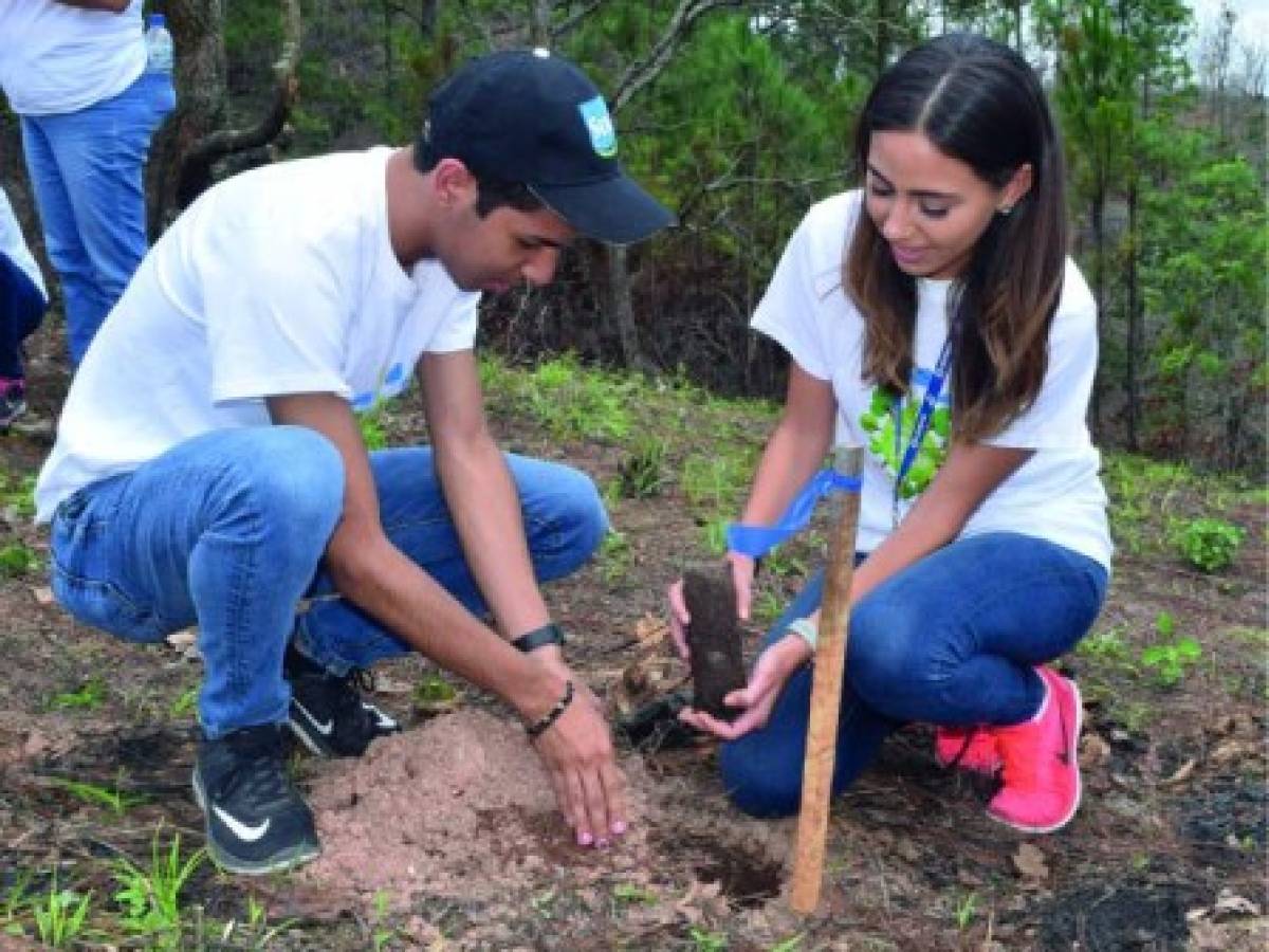 Foto: Estrategia y Negocios