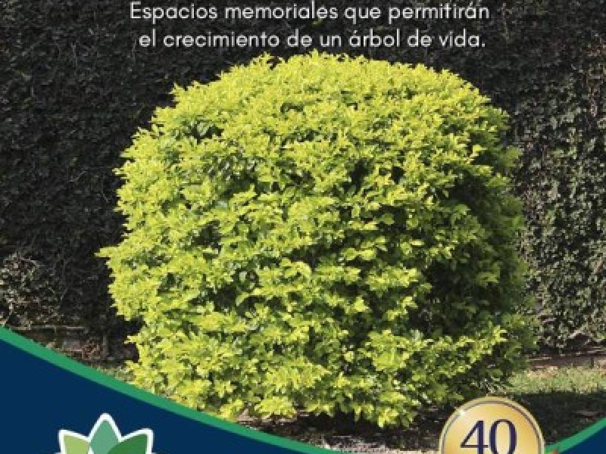Foto: Estrategia y Negocios Foto: Estrategia y Negocios