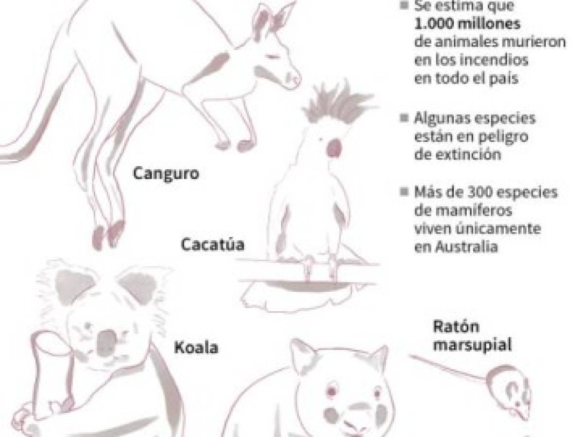 Foto: Estrategia y Negocios Foto: Estrategia y Negocios