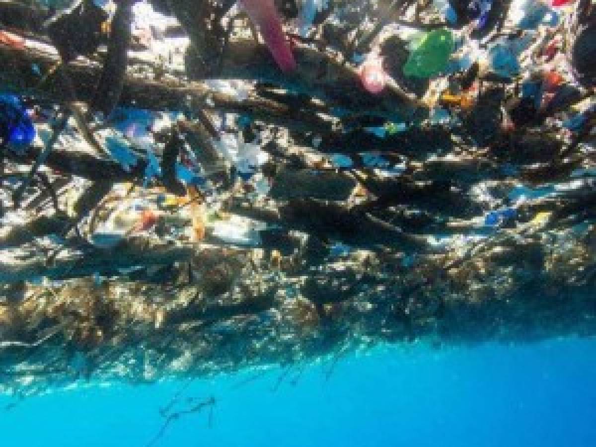 'Isla de basura' en Caribe hondureño, testimonio de catástrofe ambiental