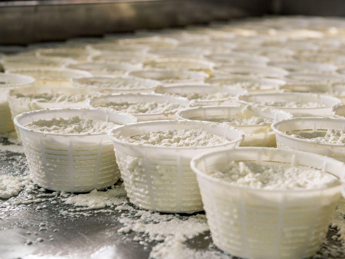 Taller de Ricotta. Taller de Ricotta.