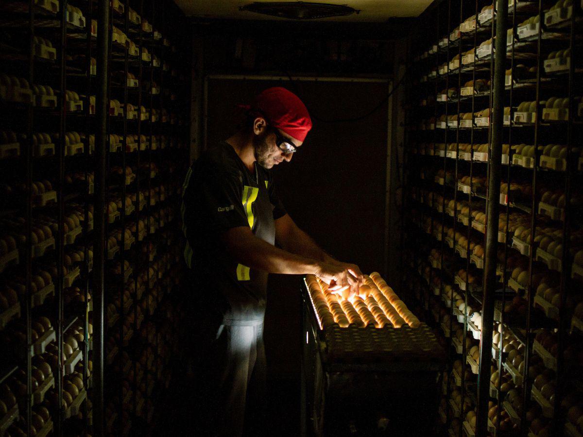 Cargill, una empresa líder que alimenta el mundo de manera segura, responsable y sostenible Cargill, una empresa líder que alimenta el mundo de manera segura, responsable y sostenible
