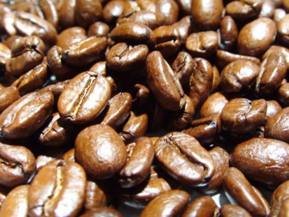 Panamá: La industria del café aporta US$212,2 millones