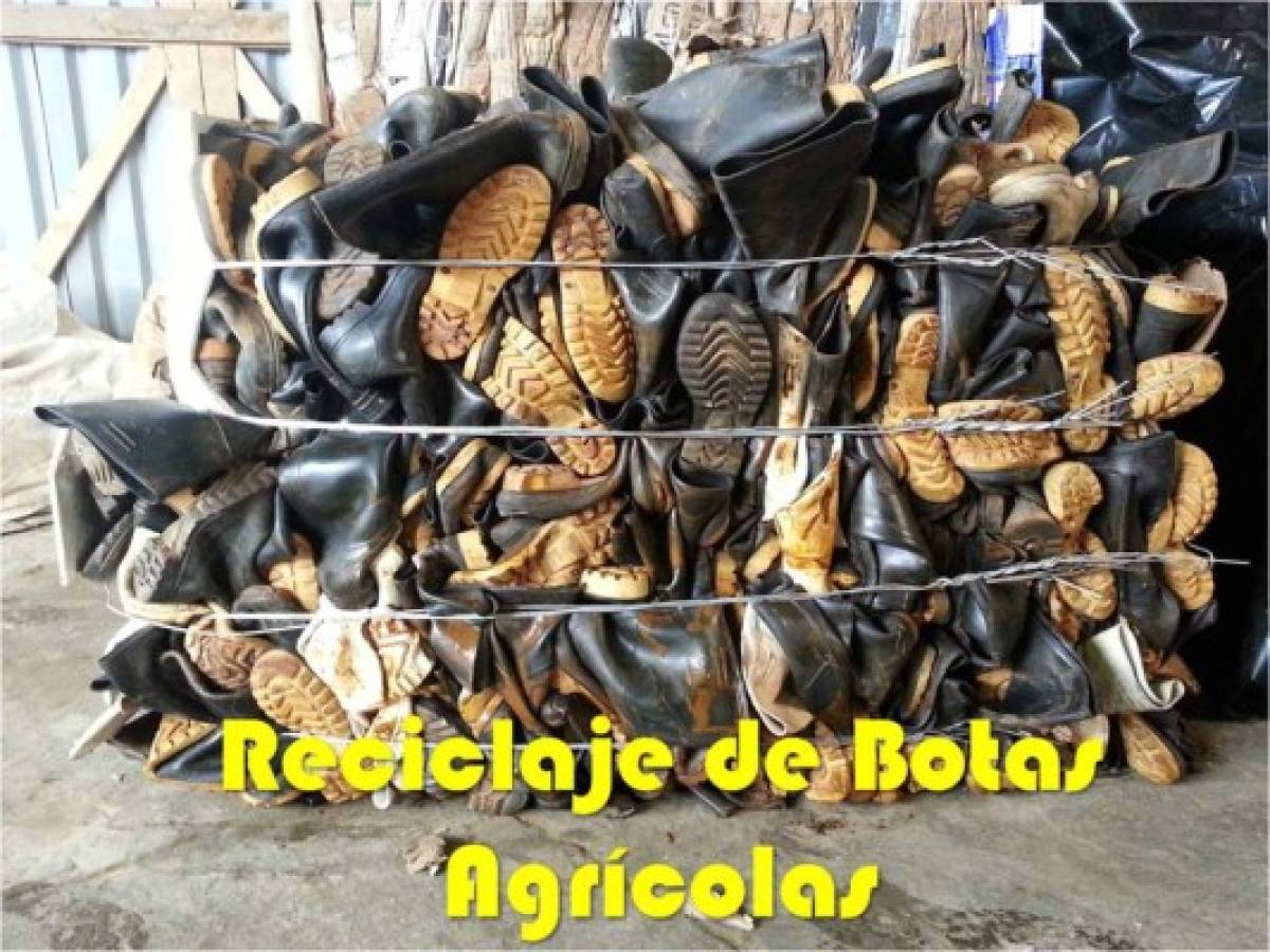 Costa Rica: Empresa recicladora exporta hierro y cartón