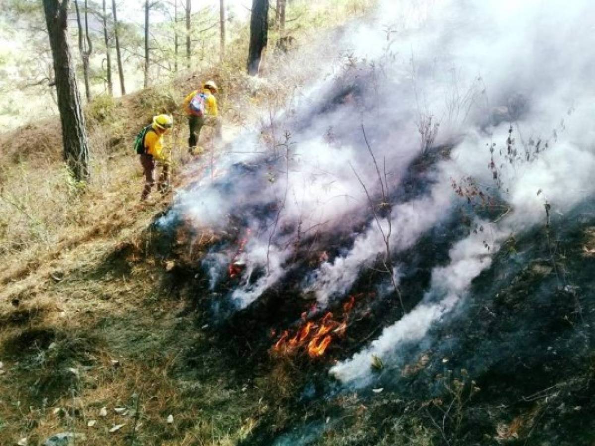 Guatemala: Las autoridades combaten 27 incendios forestales