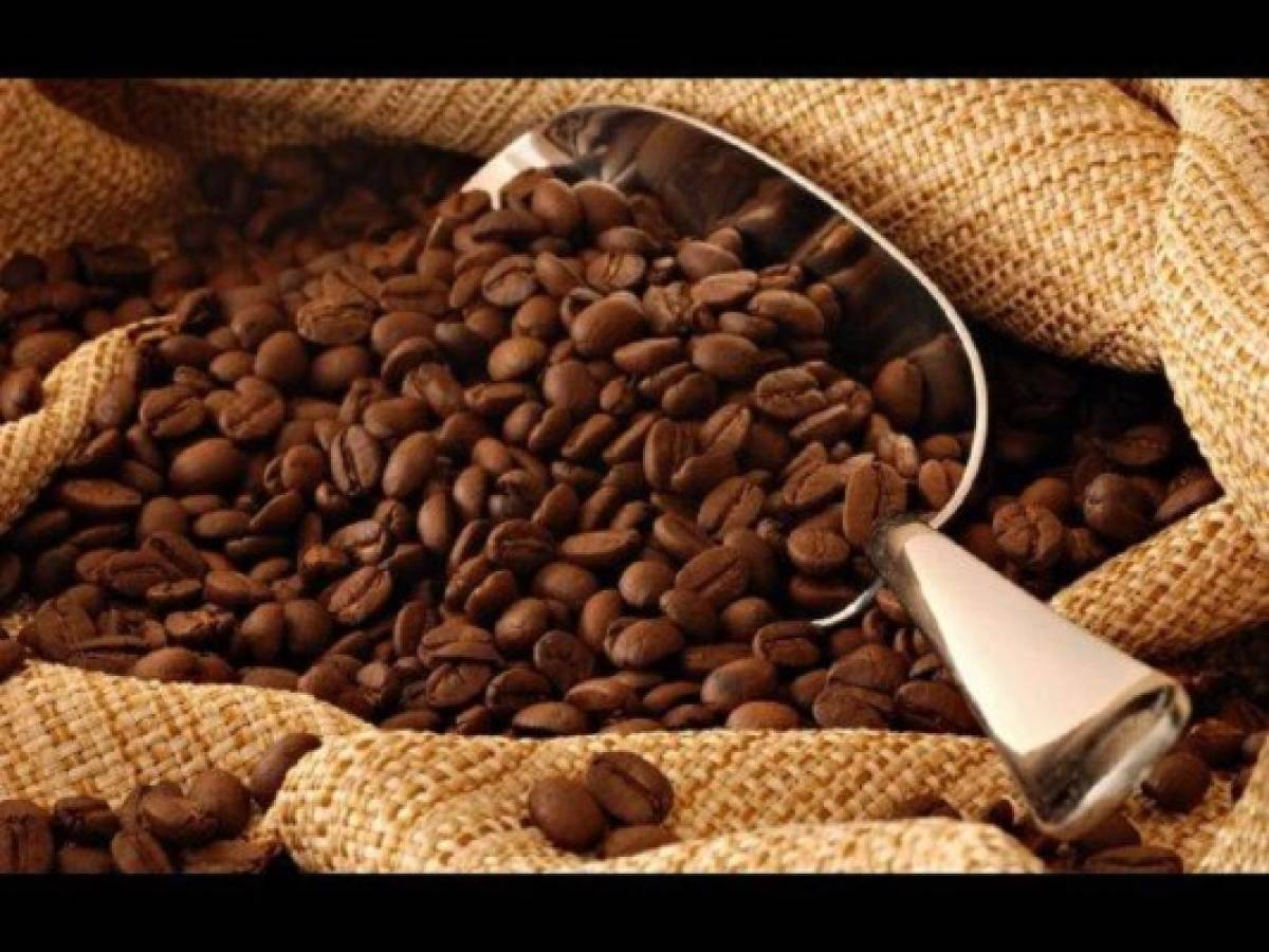 El Salvador prevé producir más café