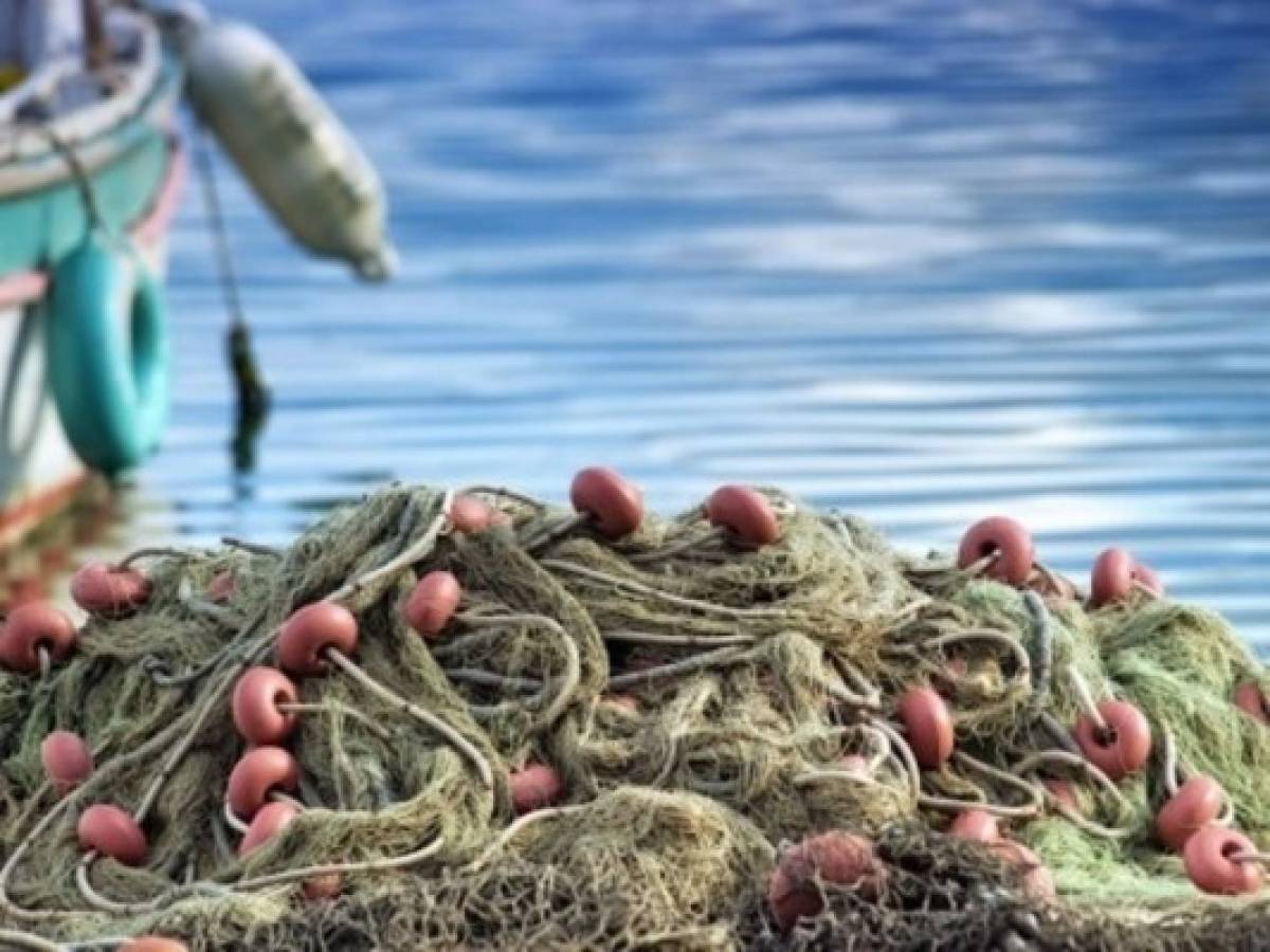 Nicaragua: producción pesquera crece casi 70%