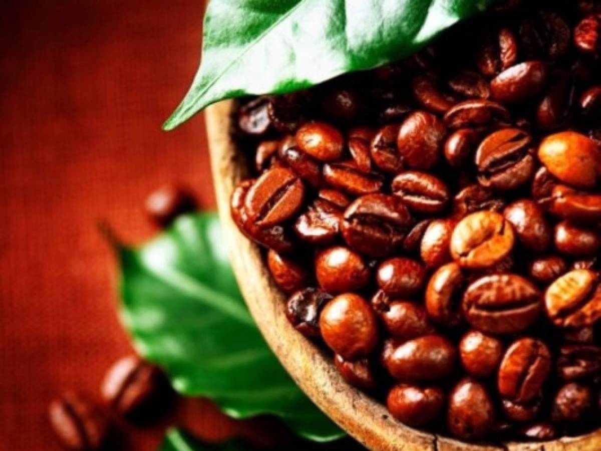 Costa Rica: exportaciones de café cayeron 9%