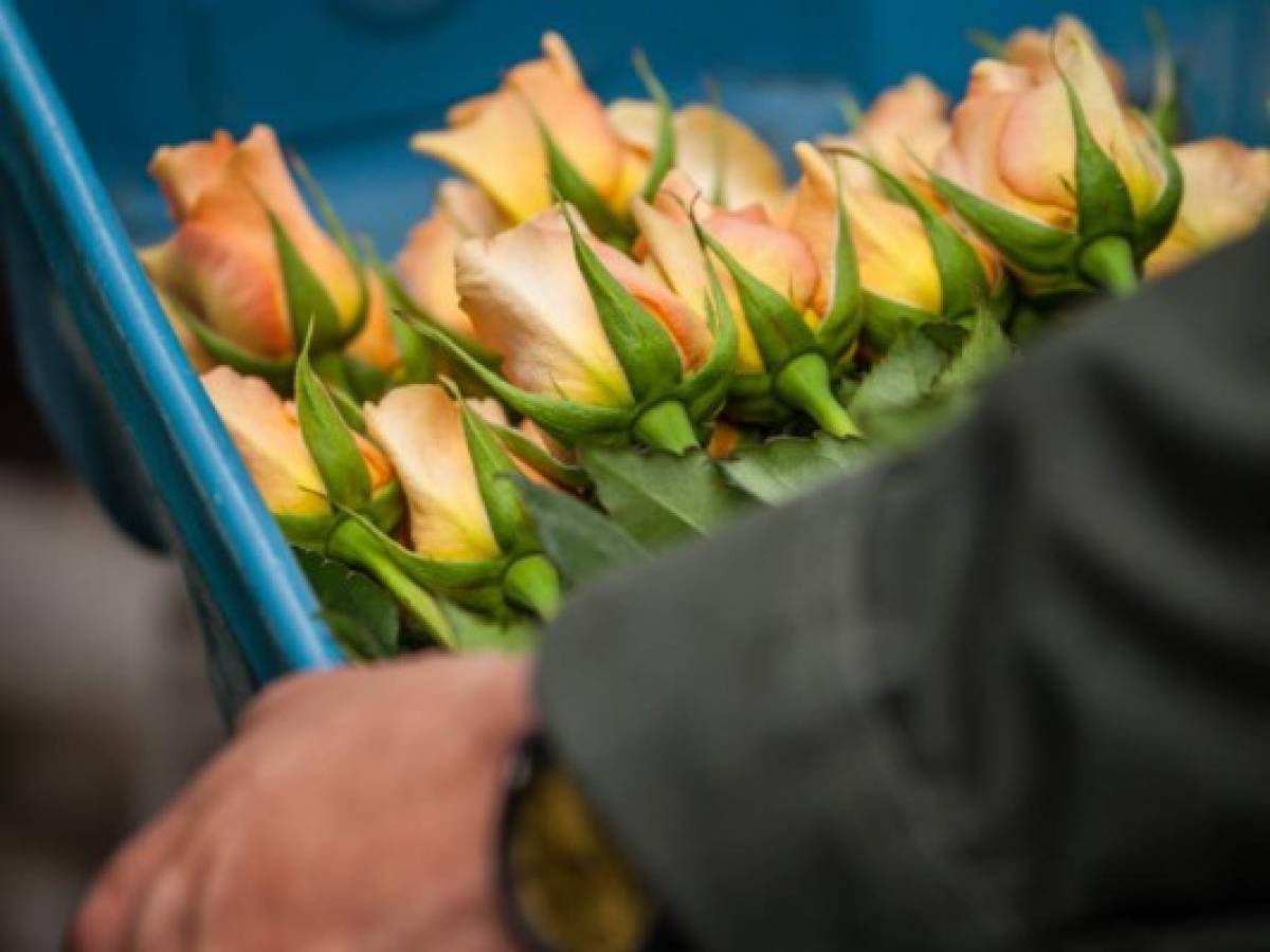 Avianca Cargo transportó más de 11.800 Tn de flores