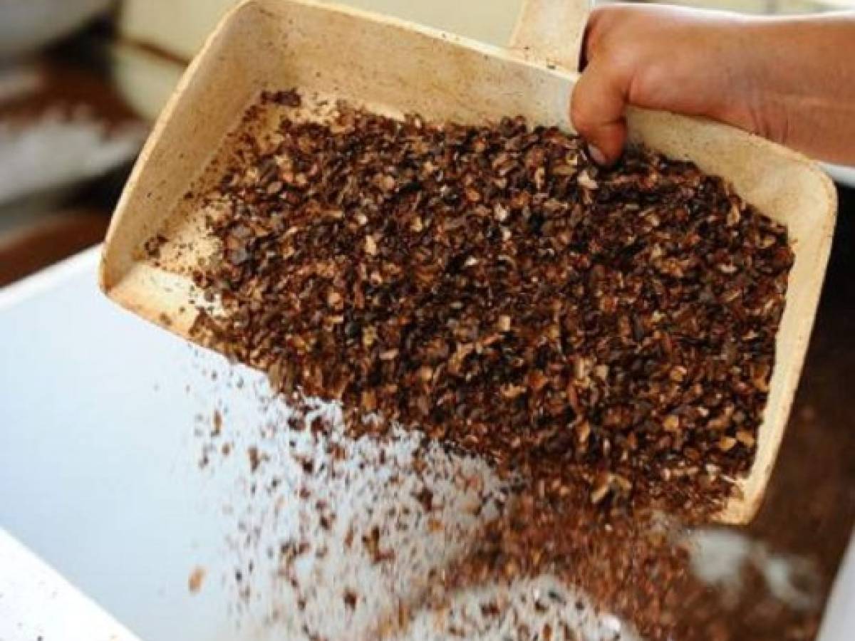 Al cacao latinoamericano le llegó su hora por aumento de demanda mundial