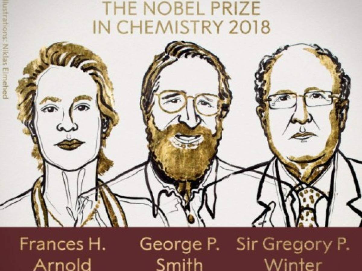 El Nobel de Química premia trabajos sobre proteínas