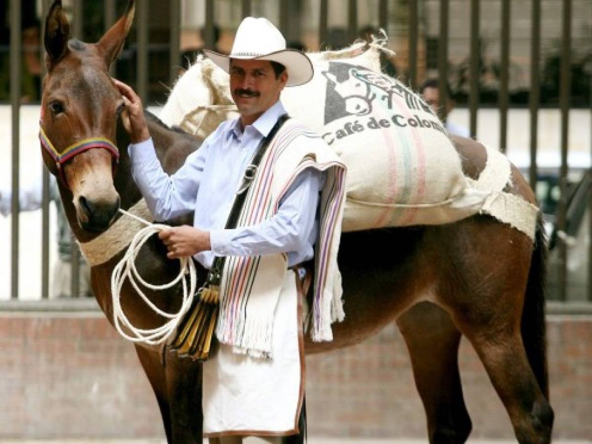 Juan Valdez desembarca con su café en Bolivia