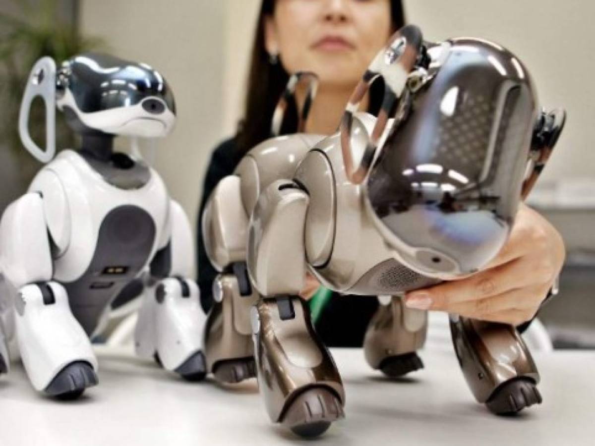 el nuevo Aibo tiene formas redondeadas, expresivos ojos verdes y orejas y cola de color marrón, una imagen más natural que la de sus predecesores, de color plateado, y ángulos marcadas. AFP PHOTO / Yoshikazu TSUNO