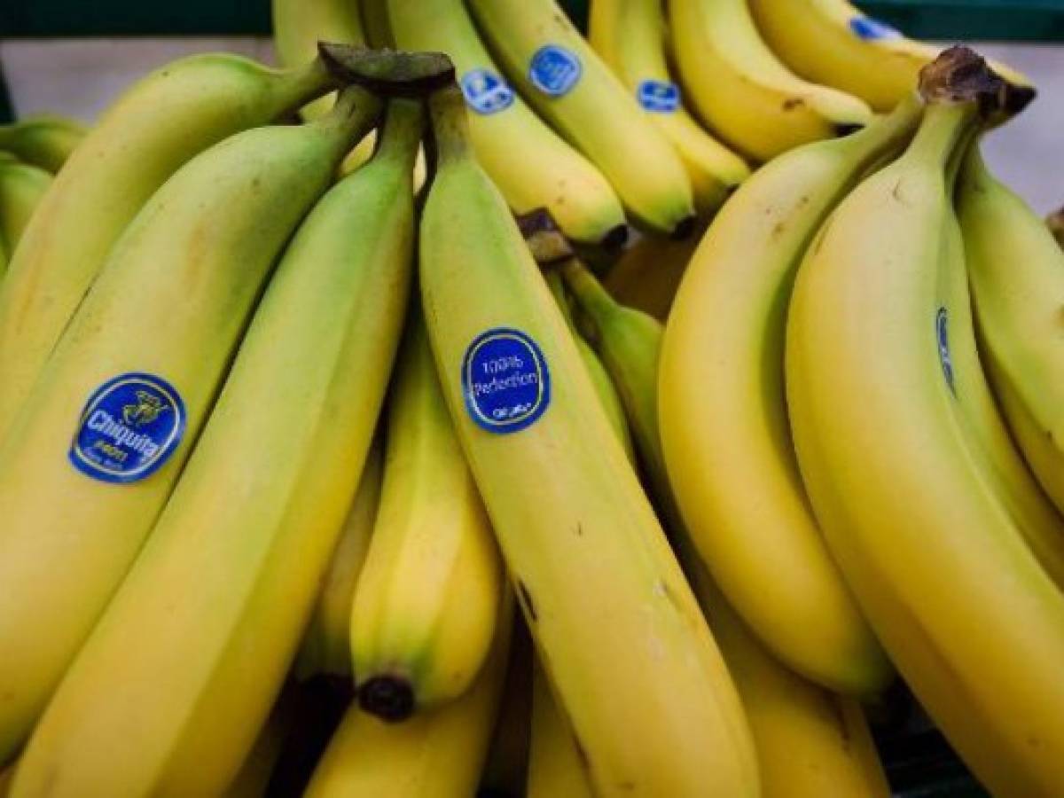 Empresas brasileñas buscan comprar Chiquita Brands