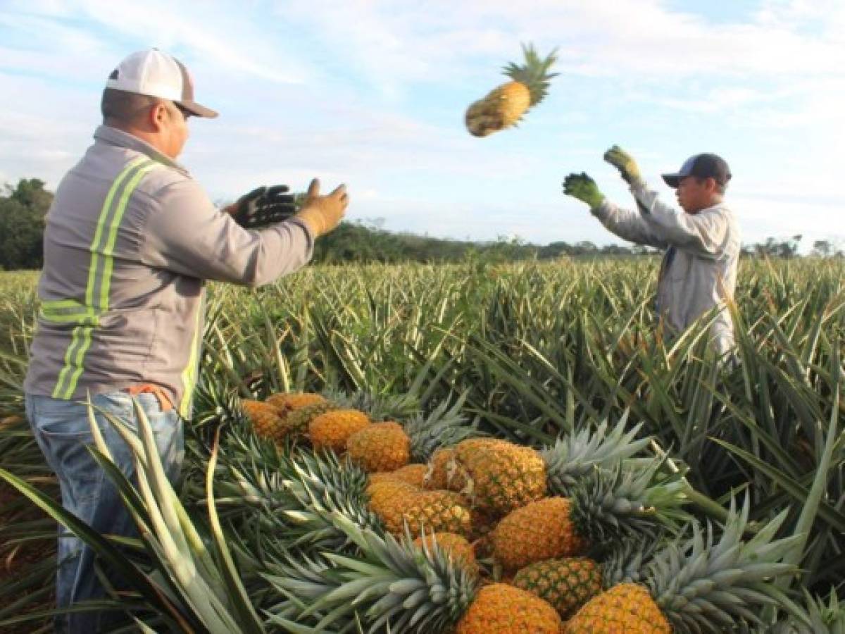 Costa Rica lleva disputa con Panamá sobre productos agropecuarios a la OMC