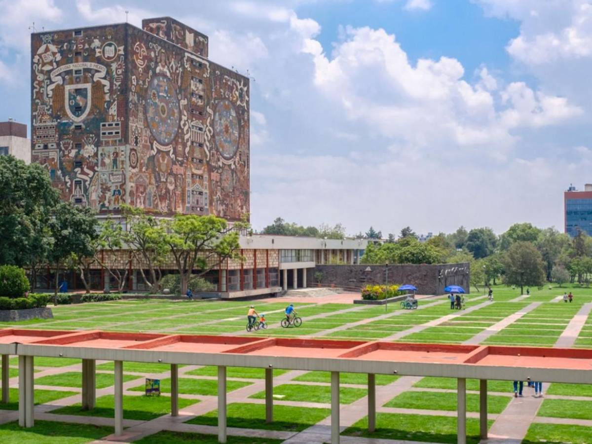 México: posible presencia de chinches obliga a fumigar la mayor universidad