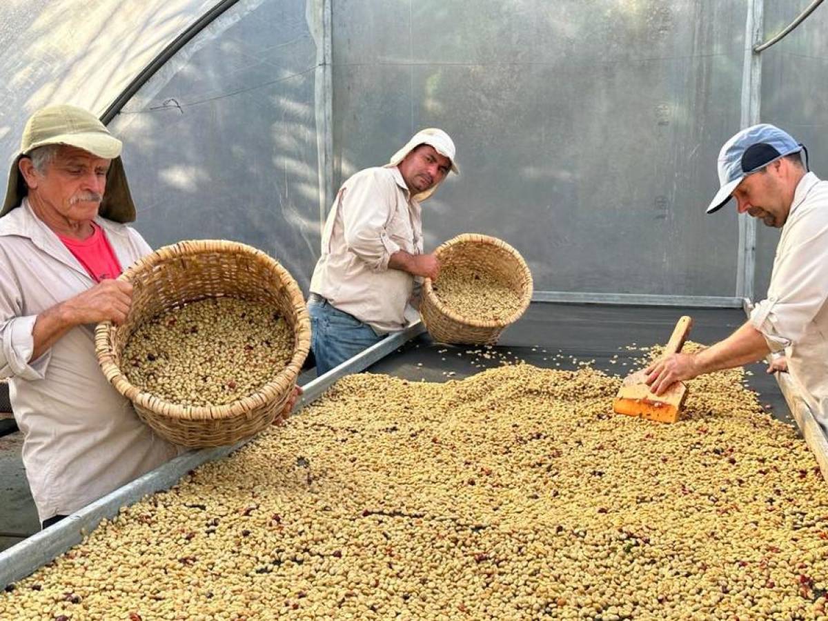 Silvia Chaves evoluciona su compromiso con el ambiente, esta es su apuesta por la agricultura y gastronomía orgánica