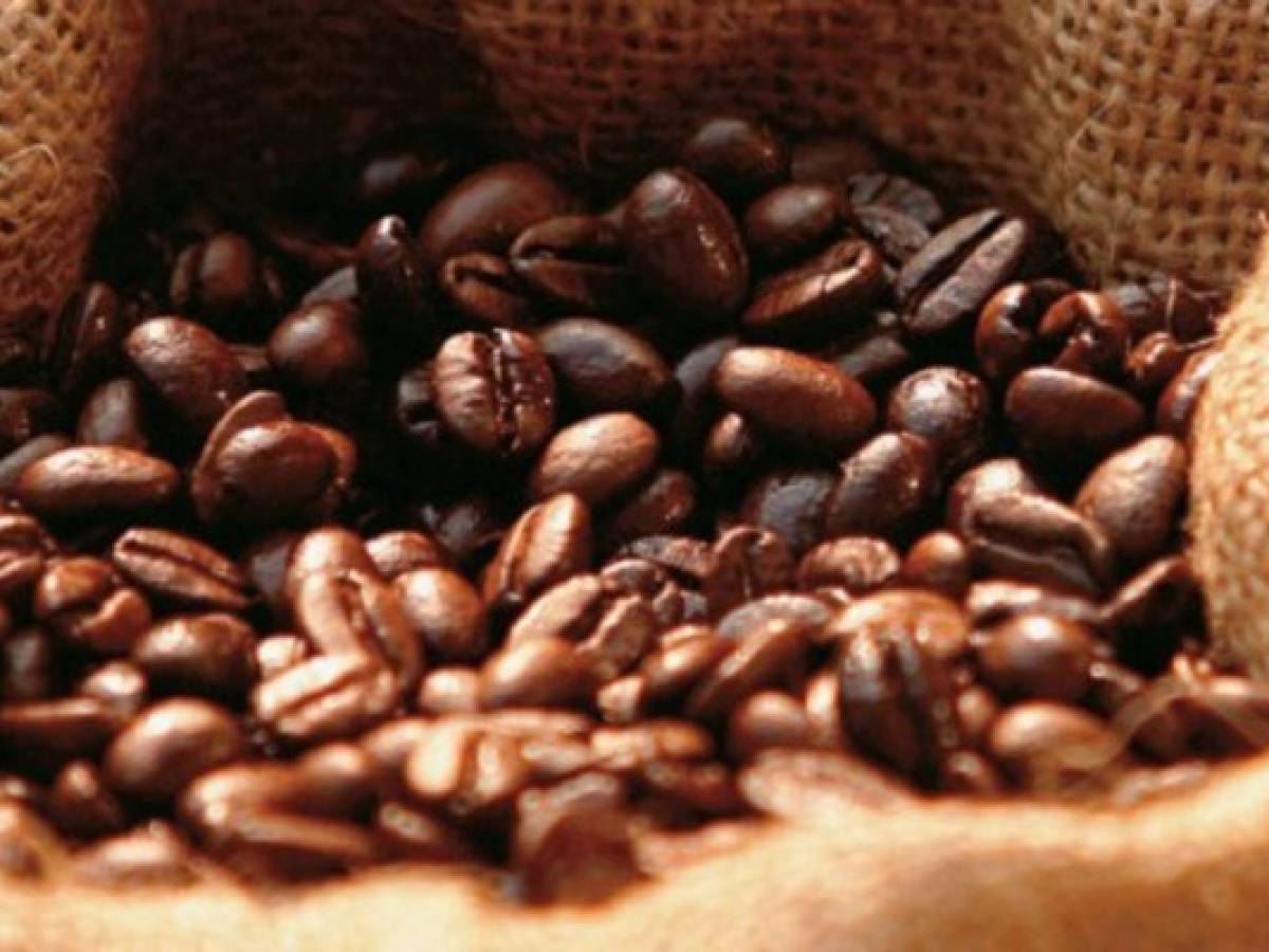 Honduras: exportación de café sube por mejores precios