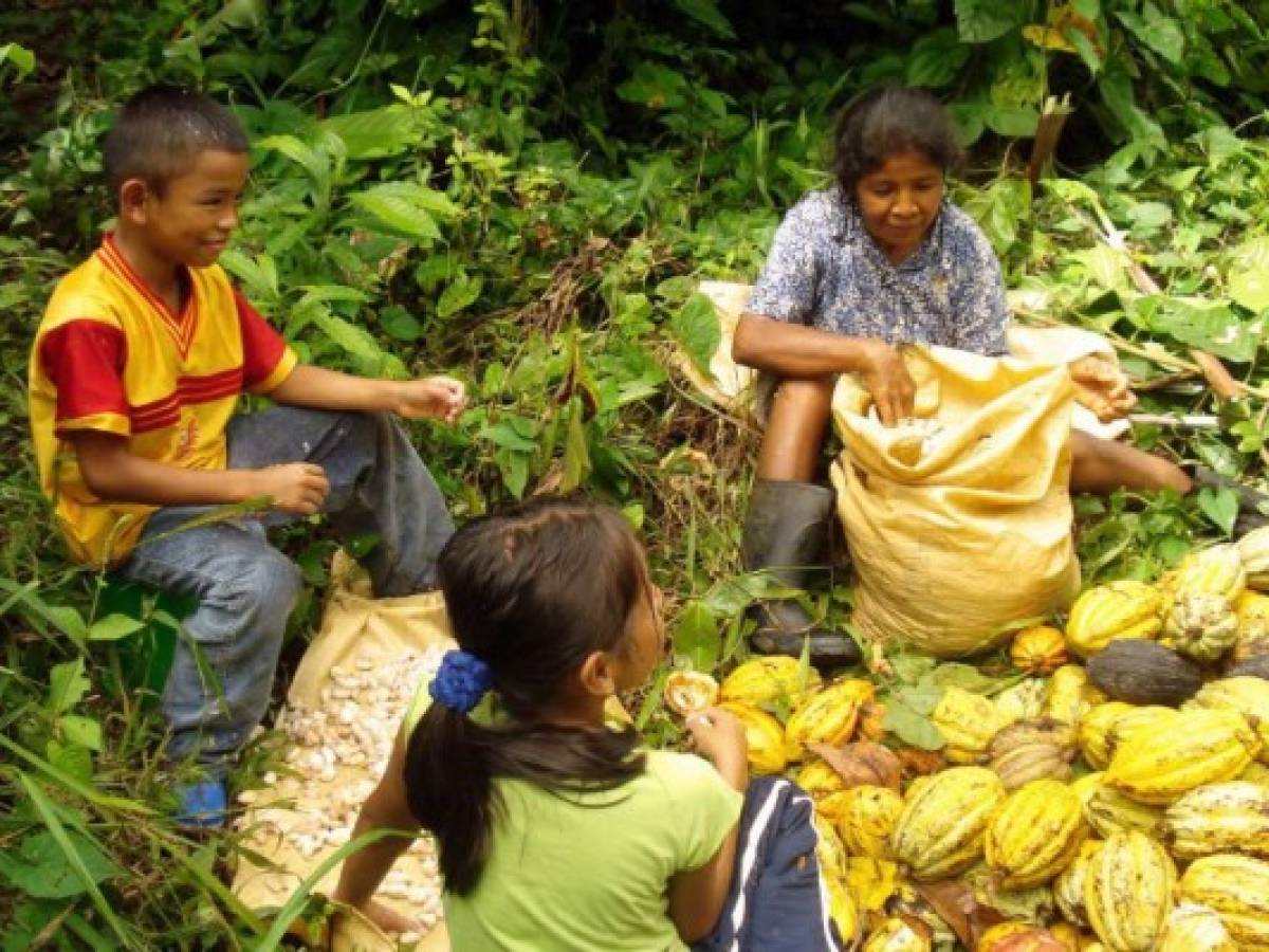 Costa Rica: Naciones Unidas pide avanzar en derechos de pueblos indígenas