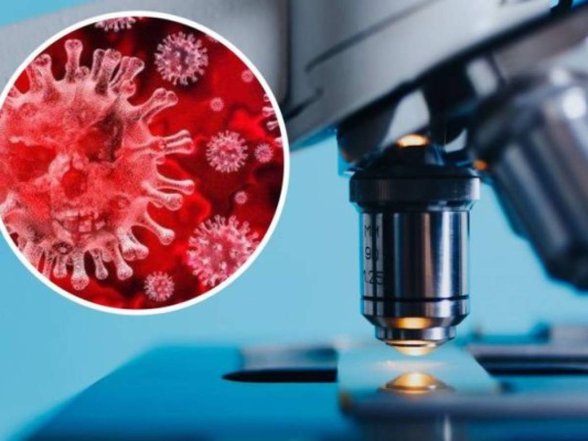 Comienza ensayo clínico europeo para cuatro tratamientos contra el coronavirus