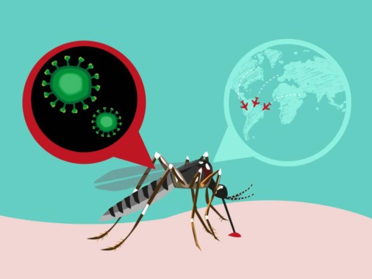 OMS pide mantener fuerte vigilancia ante zika