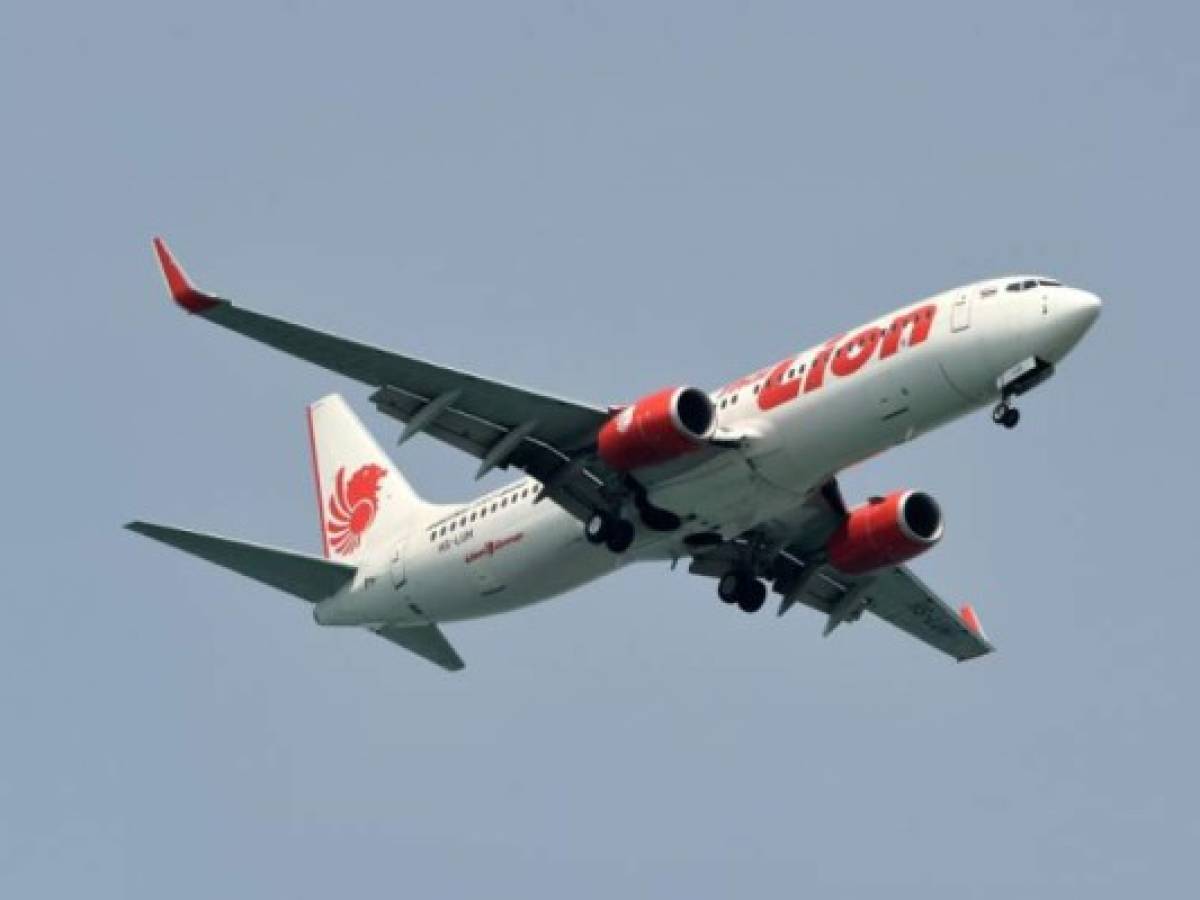 A Lion Air boeing 737-800 plane prepares to land at Changi International airport in Singapore on April 8, 2016. (Photo by ROSLAN RAHMAN / AFP)