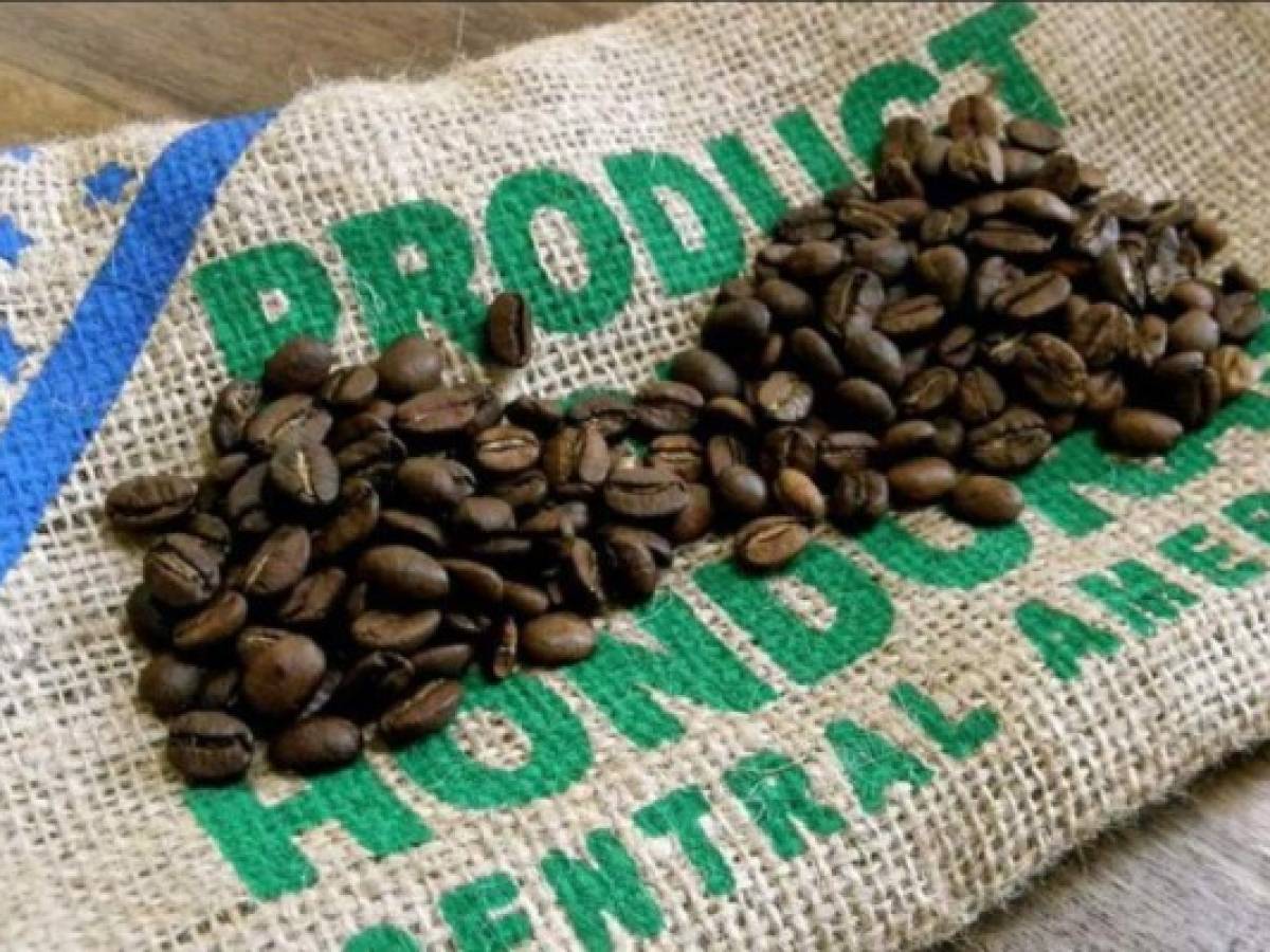 Honduras: Ingresos por exportación de café se desploman en 31%