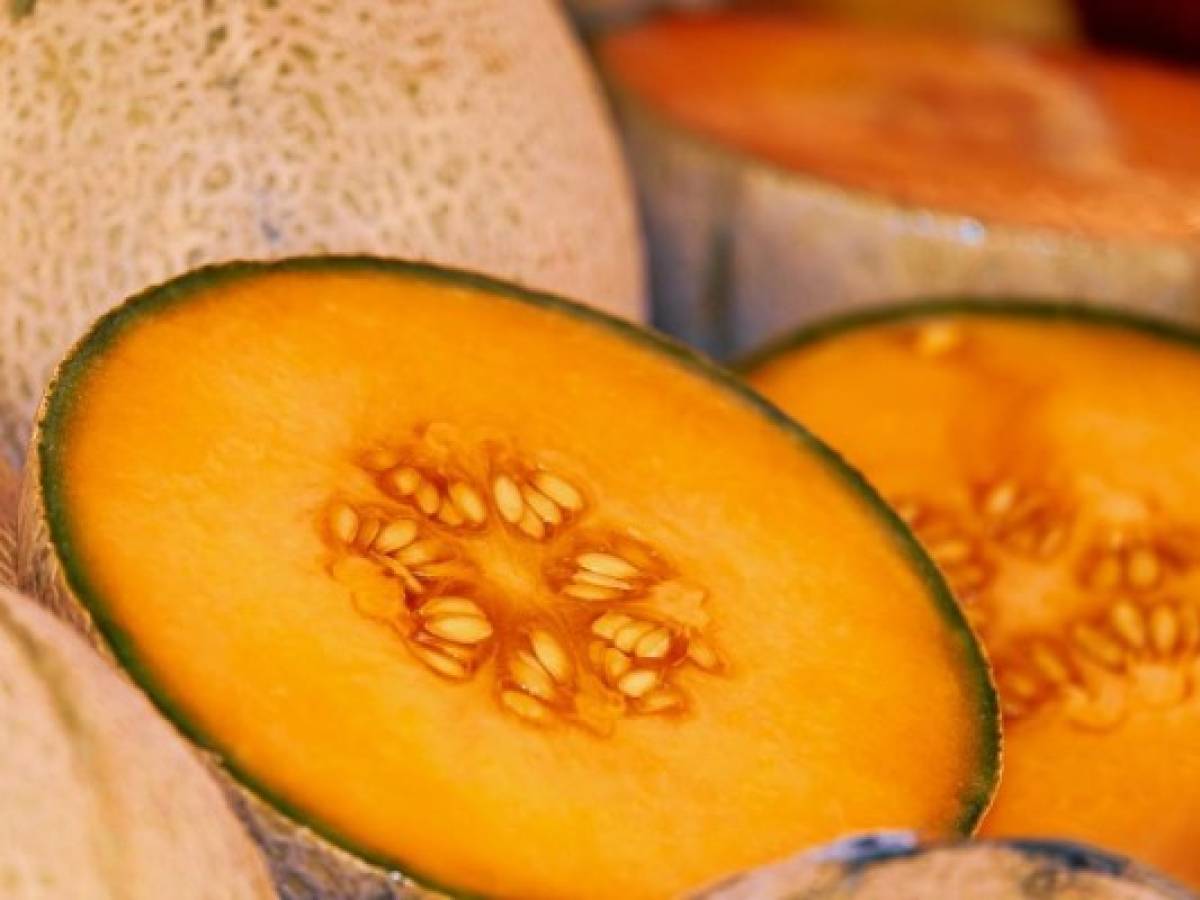 Honduras podrá exportar melón al mercado chileno