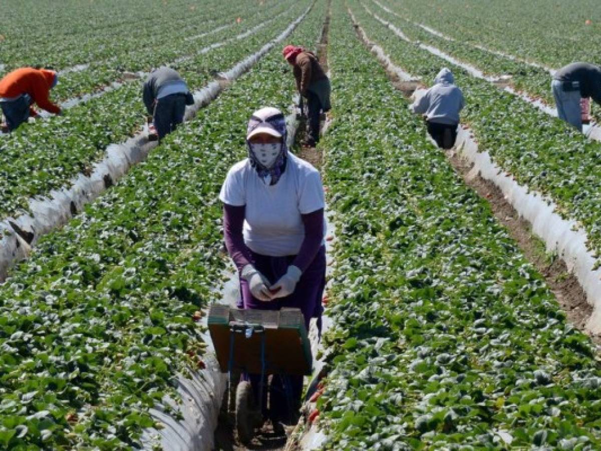 El Salvador negocia para que EE.UU. otorgue visas de trabajo a salvadoreños