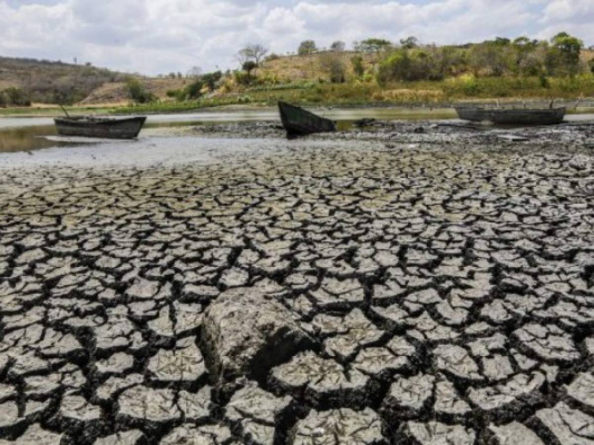 Nicaragua: Cambio climático subiría la temperatura hasta en 4 grados celsius