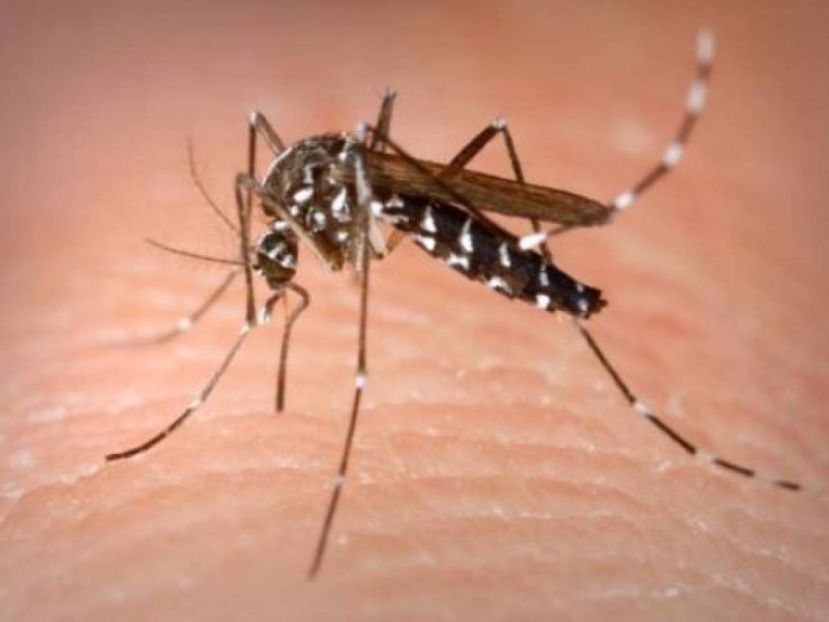Primera vacunación contra el dengue en el mundo