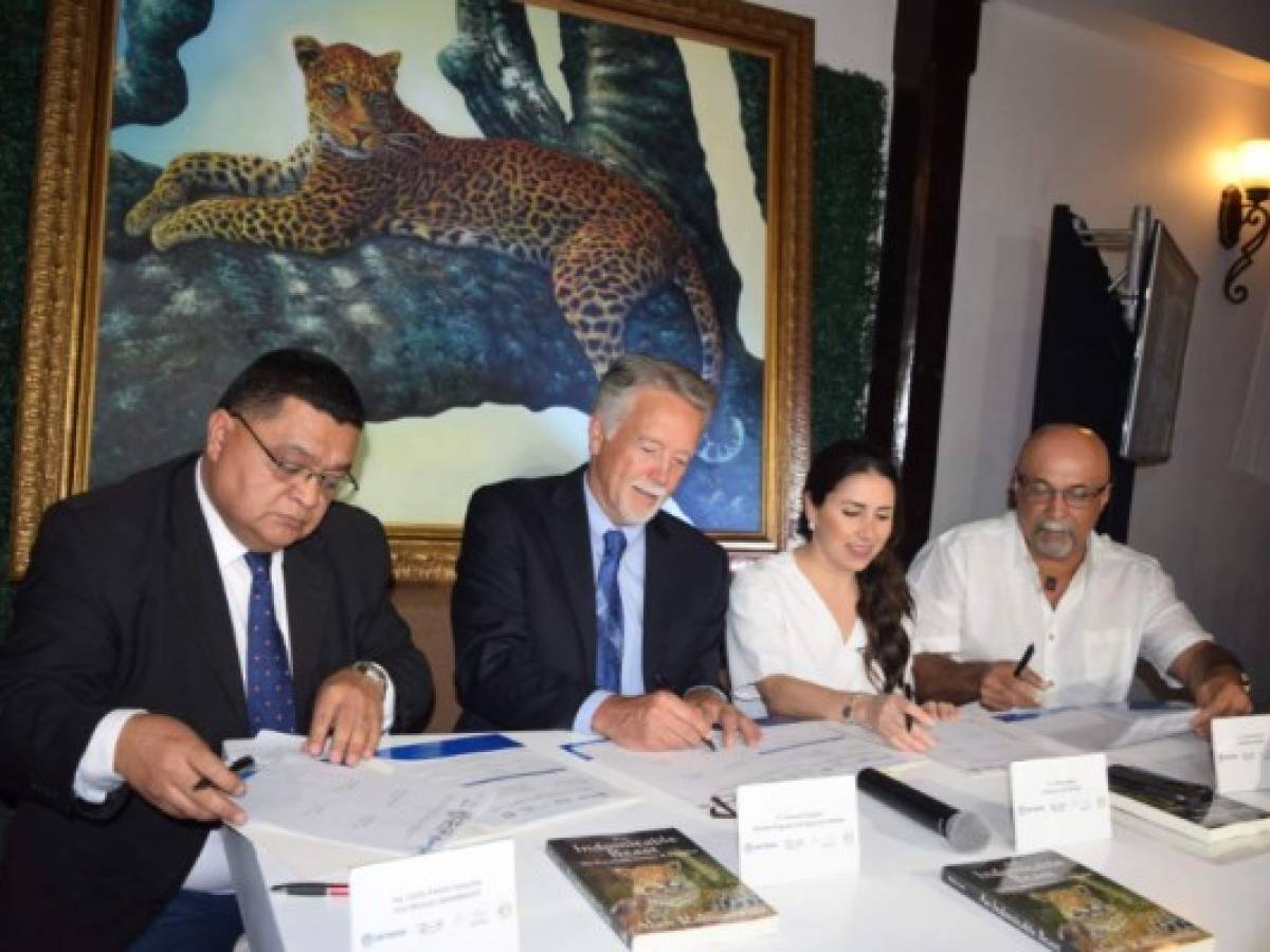 Unen esfuerzos para la protección del jaguar en Honduras