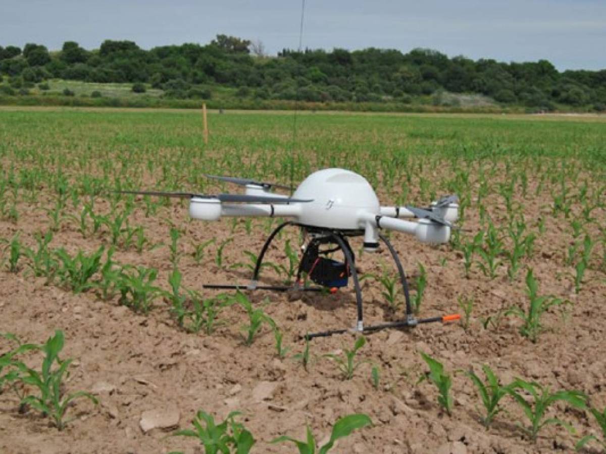 Drones prometen revolucionar la agricultura y tirar abajo los precios