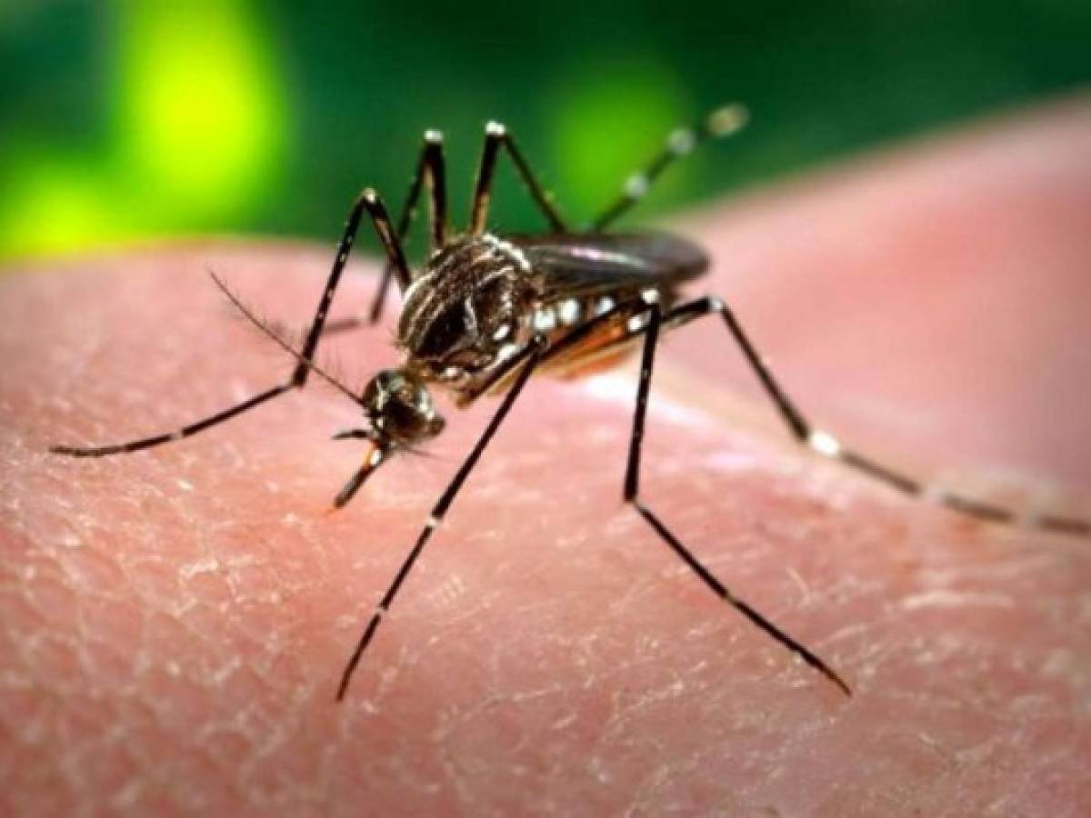 Casi 70.000 casos de zika en Colombia