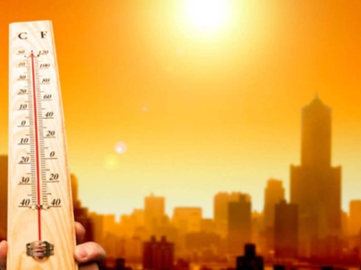 Una subida de las temperaturas de 2ºC tendrá importantes consecuencias