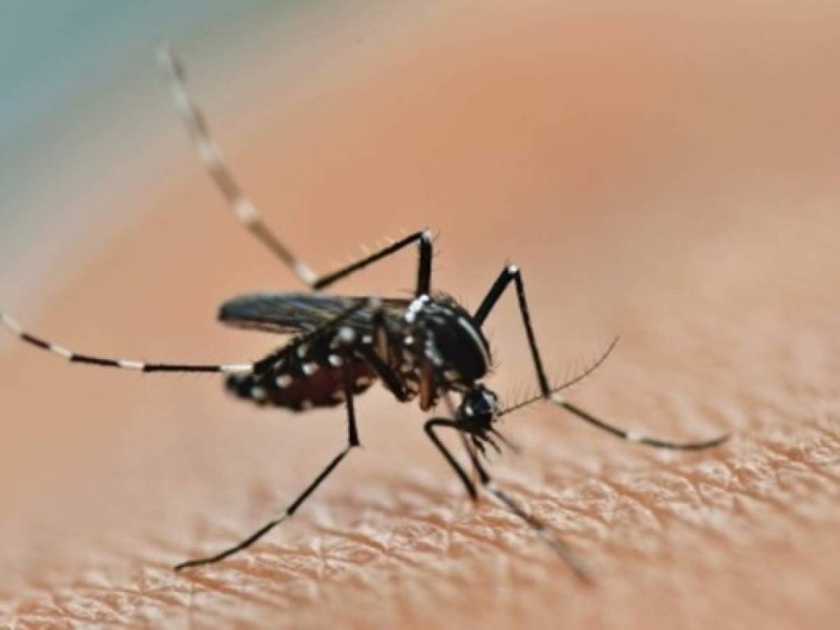 El Salvador: confirman 9 mil casos de dengue