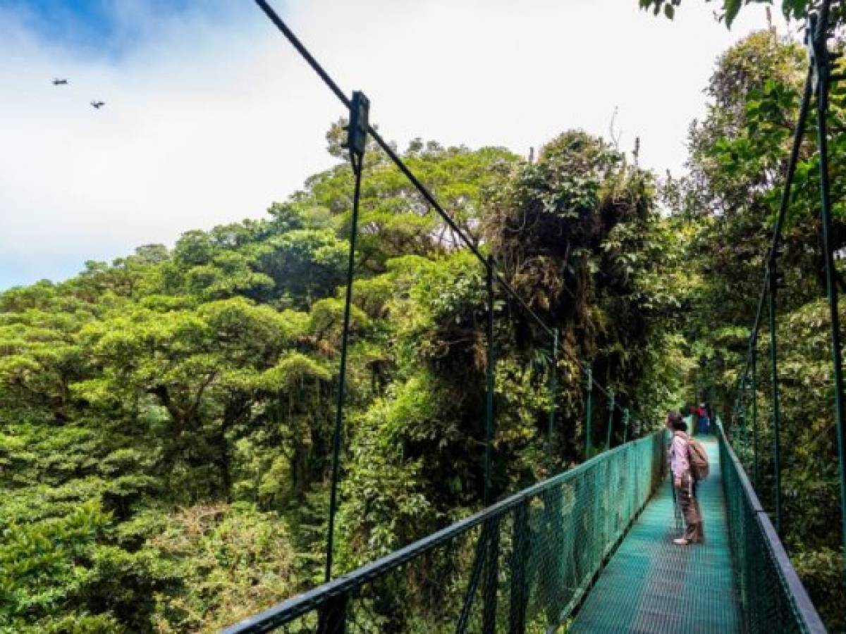 Girl walking on hanging bridge in cloudforest - Monteverde, Costa Rica - adventure in central america Girl walking on hanging bridge in cloudforest - Monteverde, Costa Rica - adventure in central america