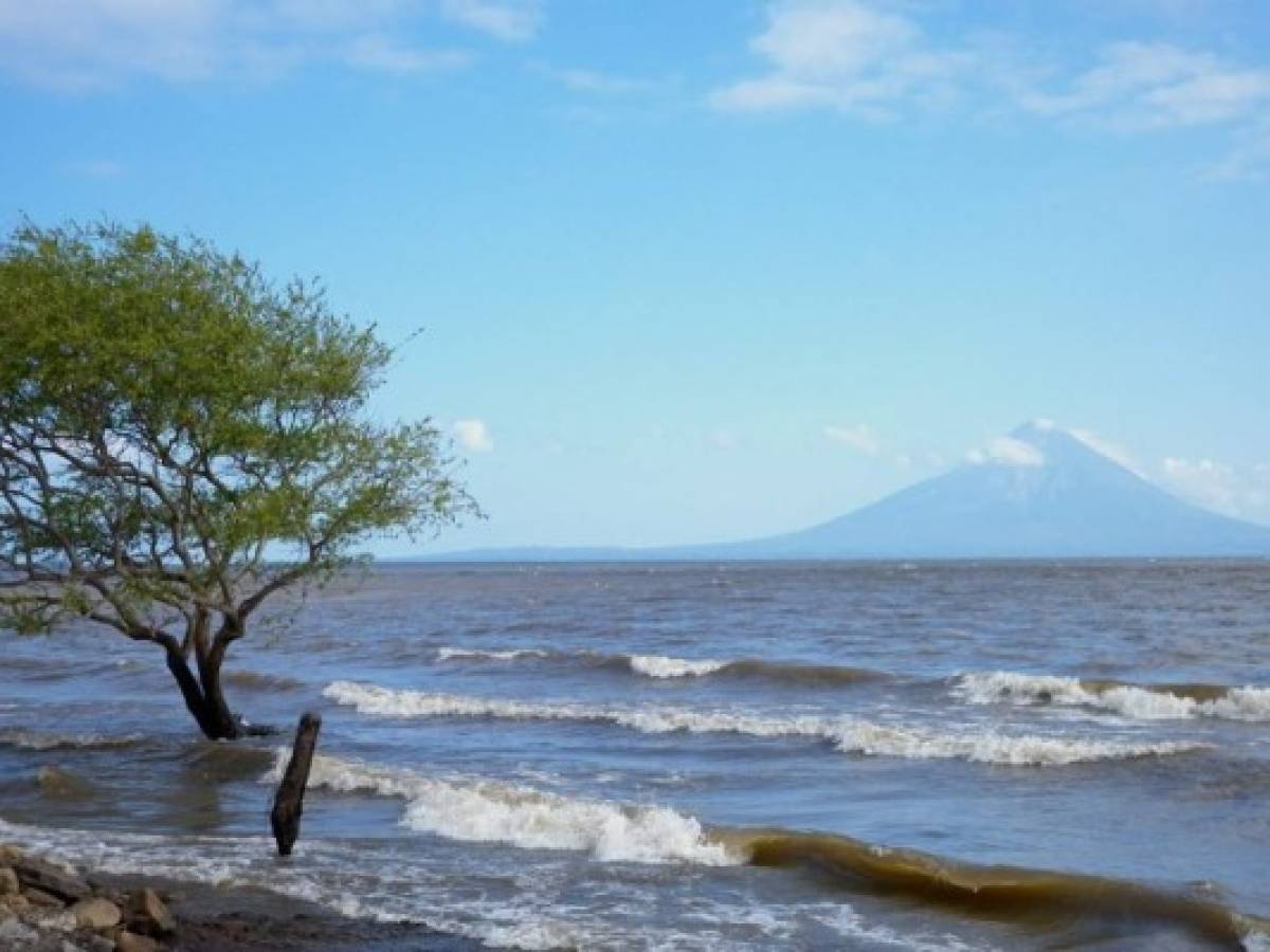 Nicaragua: Estudio de ERM no es un 'cheque en blanco”