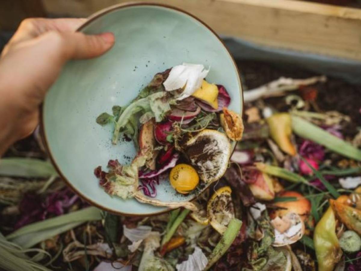 After preparing vegetable meal for cooking, women making compost from leftovers. After preparing vegetable meal for cooking, women making compost from leftovers.