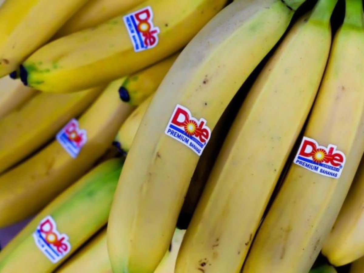 Crece exportación de banano hondureño