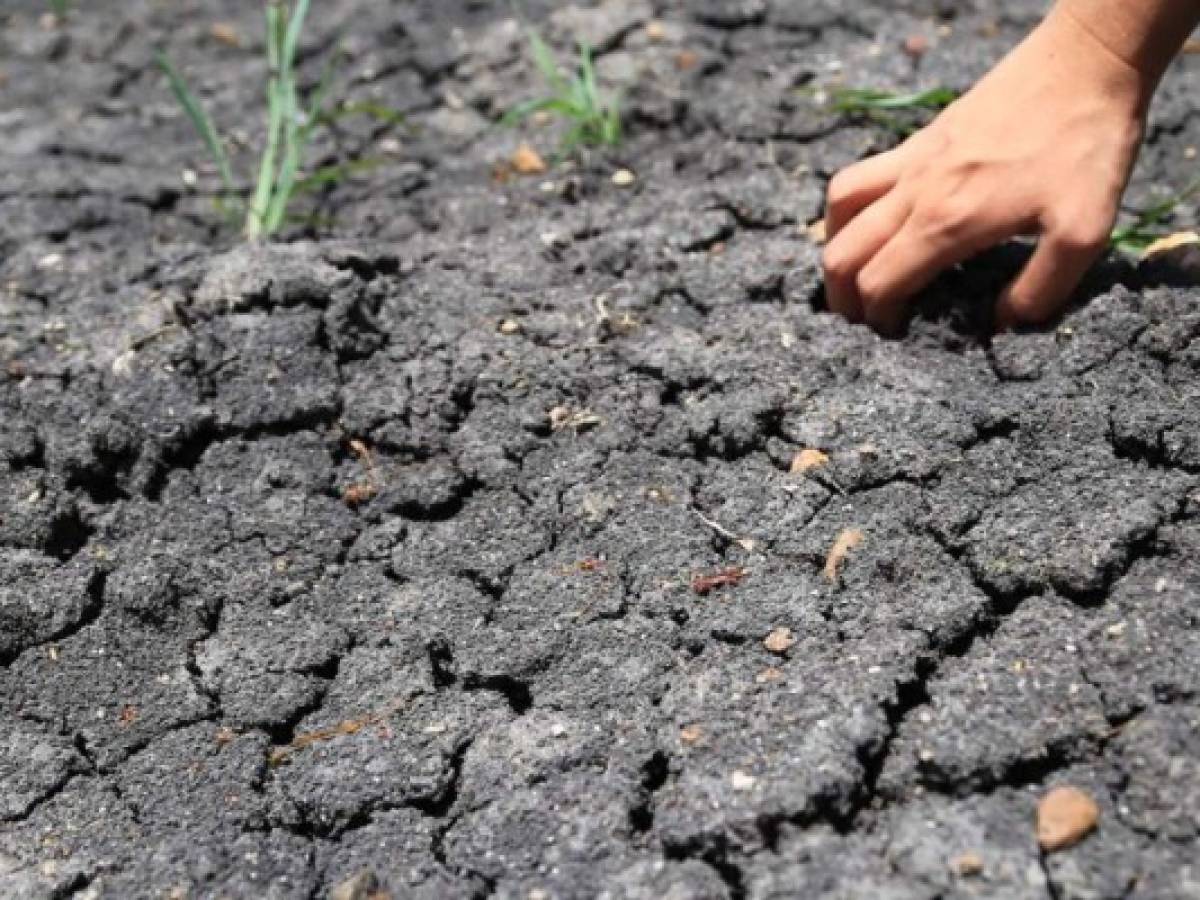 Dos millones de hondureños sufren por extrema sequía