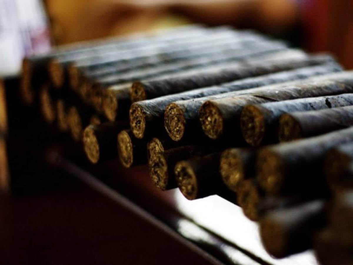 Nicaragua: sector tabaco exportó casi US$200 millones